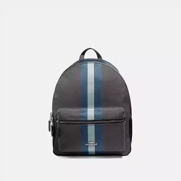 Coach | Bags | Coach Gray And Blue Backpack With Sporty  display picture 2